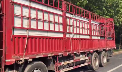 旭東PVC圍擋批發(fā)直供龍崗工地，2500米圍擋當(dāng)天閃電送達(dá)